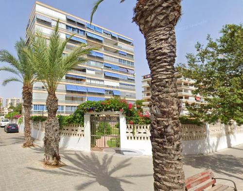 a group of palm trees in front of a building at Costa Blanca apartment in Alicante