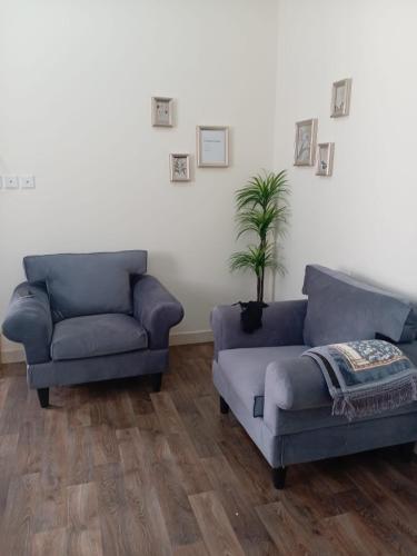 uma sala de estar com dois sofás e um vaso de plantas em غرفة دور ارضي em Sacaca