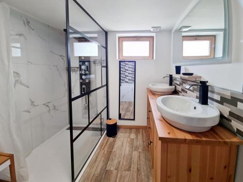 a bathroom with a sink and a glass shower at les piafs du der 1 in Joncreuil