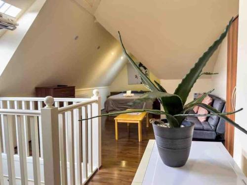 ロンドンにあるstudio 69の鉢植え