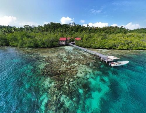 - une vue aérienne sur une maison et un bateau dans l'eau dans l'établissement Raja Ampat Blue Sea, à Besir