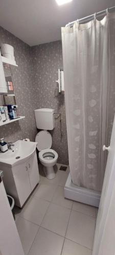 a bathroom with a toilet and a sink and a shower at Vikendica Štira in Loznica