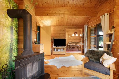 a living room with a woodburning stove and a couch at Hüssli Numero 1 in Hayingen