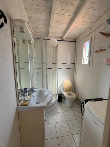 une salle de bain avec un lavabo et des toilettes dans l'établissement Appartement vue sur le port de Nautica, au Barcarès