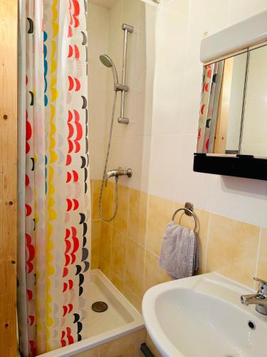 une salle de bain avec un rideau de douche et un lavabo dans l'établissement Les Balcons du Lac T2 Belle vue, aux Salles-sur-Verdon