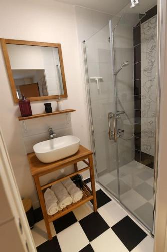une salle de bain avec un lavabo et une douche dans l'établissement Albarine-2 pers-wifi-cosy-confort-bien-être, à Oyonnax