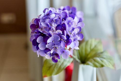 a purple flower is sitting in a white vase at Cafe Rosi in Bernkastel-Kues