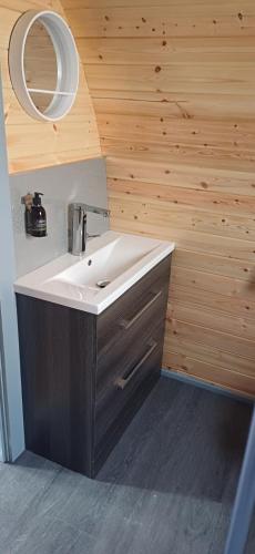 a bathroom with a sink and a wooden wall at Neptune's Rest in Fort William
