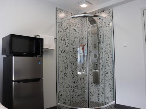 a bathroom with a shower with a tv on the wall at AMR Hotel Inc in Saint-Jérôme