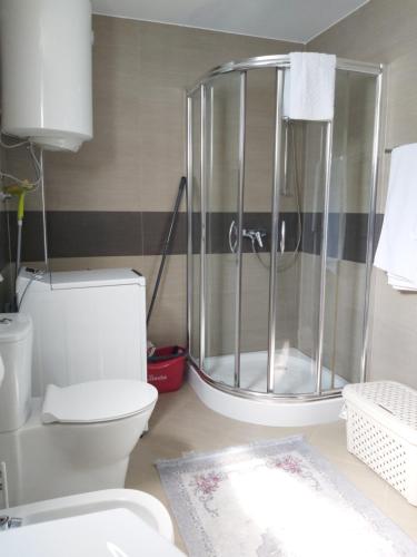 uma casa de banho com um chuveiro e um WC branco em Apartman AidaLux em Bijela Glavica