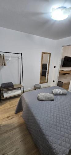 1 dormitorio con 1 cama grande y espejo en Apartamento Maestra, en Jaén