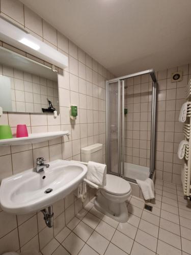 a bathroom with a sink and a toilet and a shower at Adventure Campus in Treuchtlingen