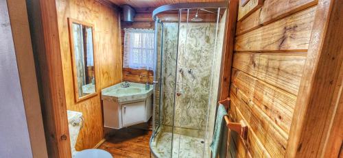 uma casa de banho com um chuveiro e um lavatório. em Tegwaan's Nest B&B em Mooirivier