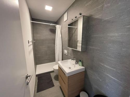 een badkamer met een wastafel, een toilet en een douche bij Modernes Appartement in Wald in Wald