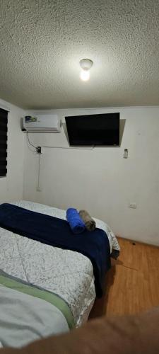 Katil atau katil-katil dalam bilik di Habitaciones en Curico