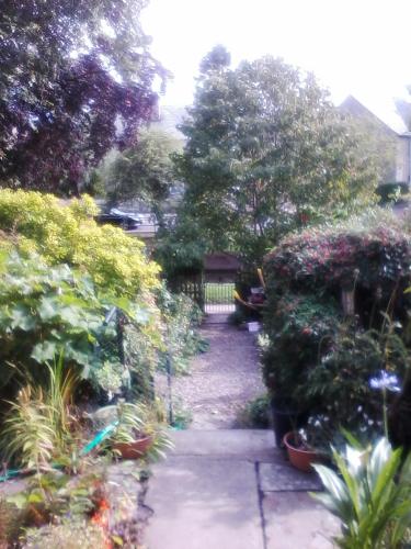 a garden with flowers and plants in a yard at The Spindle Guest Rooms in St. Andrews