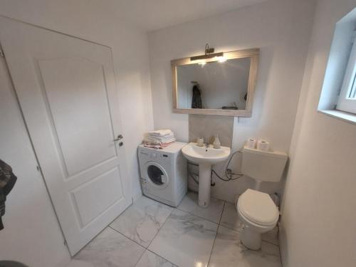 ein Badezimmer mit einem Waschbecken, einem WC und einem Spiegel in der Unterkunft Casa Inoke in Poiana Micului