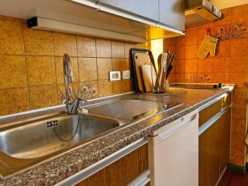 a kitchen with a sink and a counter top at St. Vigilhof in Nalles