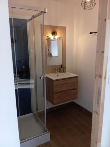 une salle de bain avec un lavabo et une douche dans l'établissement L'évidence 4 personnes, à La Jaudonnière