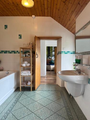 uma casa de banho com uma banheira e um lavatório em Old Mill House em Larne
