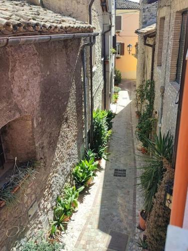 an alley with a stone building and plants at Pink house in Fara in Sabina