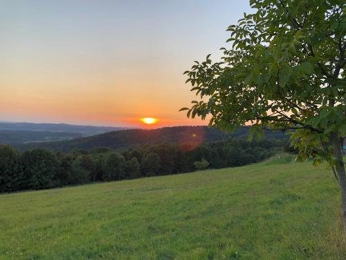 a sunset over a green field with a tree at House Of Harry - horská chata in Liberec