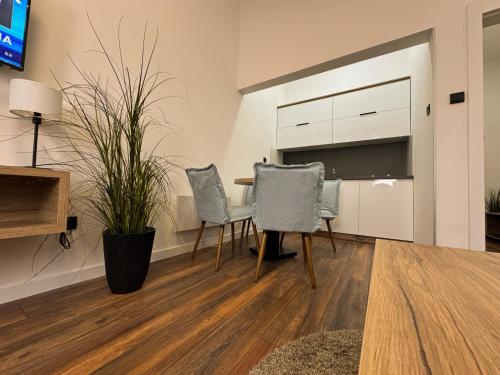 TV a/nebo společenská místnost v ubytování Vip Apartments Kopaonik