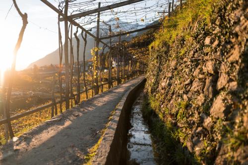 a metal bridge with the sun in the background at Hotel Mühlbacherhof in Lagundo