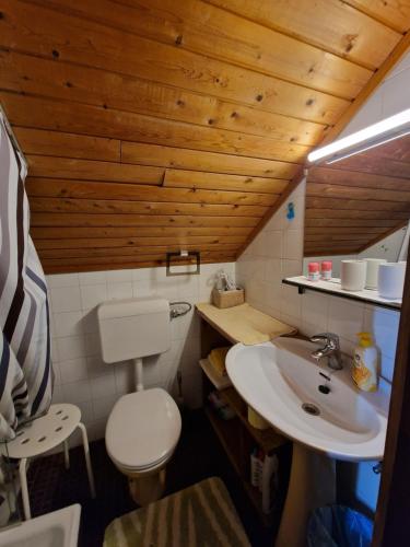 een badkamer met een toilet en een wastafel bij Vila Nana Bled Apartments & Rooms in Bled
