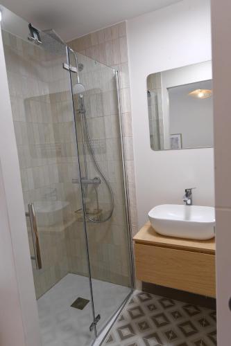 une salle de bain avec douche et lavabo dans l'établissement Ange - Wifi, Terrasse, parking à proximité, mon séjour à Arbent, à Arbent