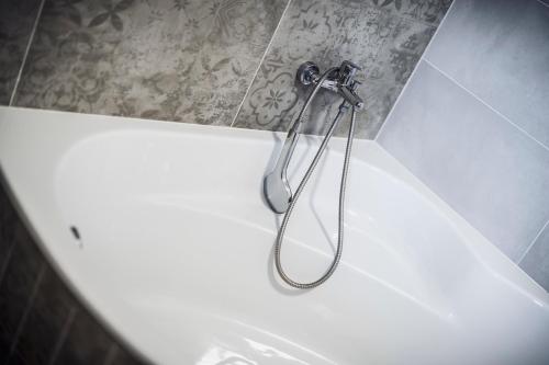 a shower in the corner of a bath tub at Dvůr Dolenec in Rohoznice