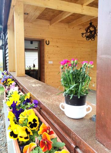 two pots of flowers sitting on a ledge at Chybotek Premium Domek Danusia in Przesieka