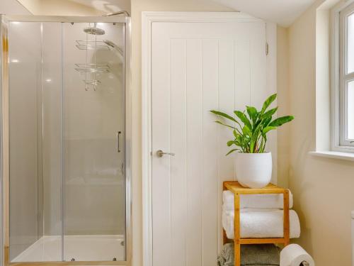a bathroom with a shower and a plant on a stool at City to Country Retreat Luxury Cottage with Hot Tub in Toppesfield