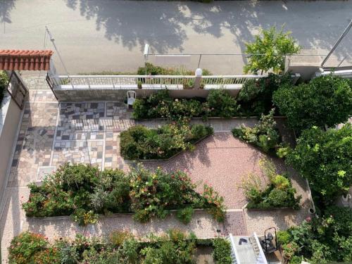 an overhead view of a garden with plants and trees at Hotel Angela in Asprovalta