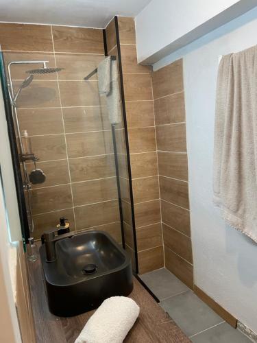 une salle de bain avec un lavabo et une douche dans l'établissement DEUX PIECES AJACCIO, à Ajaccio