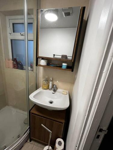 a small bathroom with a sink and a shower at Trendy artisan cottage in Stoneybatter near Dublin City centre in Dublin
