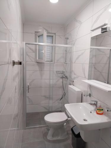 a bathroom with a shower and a toilet and a sink at Captain's villa in Molunat