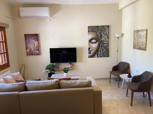 a living room with a couch and a tv at ZoYa ‘s Apartments in Agria