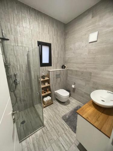 een badkamer met een douche, een toilet en een wastafel bij וילת צאלים in Yeroẖam