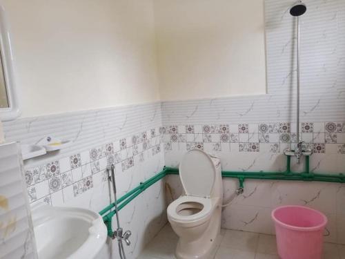 a bathroom with a toilet and a sink at Yazgar Residency Skardu in Skardu