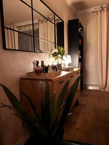 a room with a desk with a plant and a mirror at Paltin Evergreen Garana in Gărâna