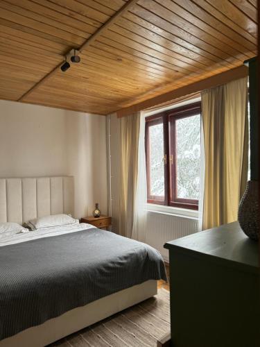 a bedroom with a large bed and a window at Paltin Evergreen Garana in Gărâna