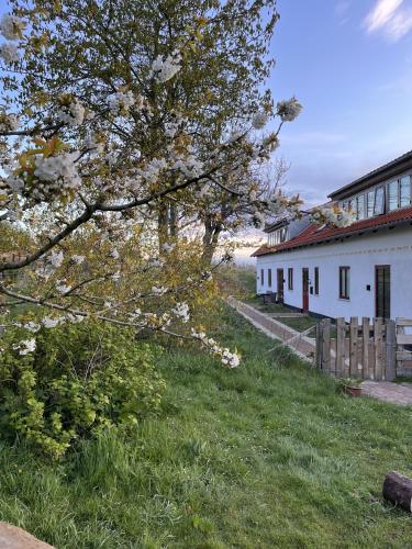 a white building with a fence and a tree at Nordgården - ferie på landet in Skibby