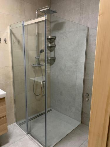 a shower with a glass door in a bathroom at Apartament w Dolinie Sanu 1 in Lesko