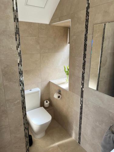 a bathroom with a toilet and a shower at The Manor Boutique Hotel Restaurant and Bar in Conwy