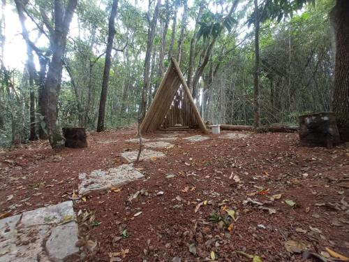 ein Pyramidenzelt mitten im Wald in der Unterkunft Casa da Floresta in Lavras