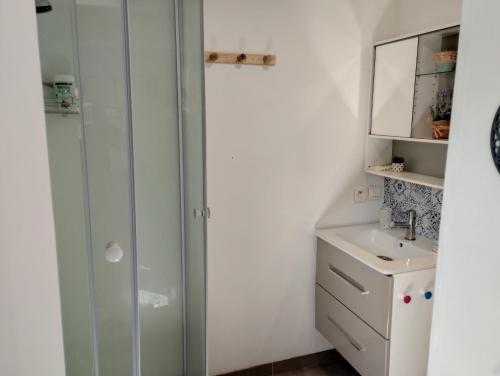 y baño con ducha y lavamanos. en chambre avec un accès indépendant et salle de bain et toilette privatifs, en Marquette-lès-Lille