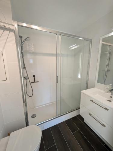 une salle de bain avec une douche, des toilettes et un lavabo dans l'établissement Appartement de Standing avec jardin, à Clamart
