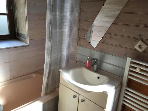 ein Badezimmer mit einem Waschbecken, einer Badewanne und einem Spiegel in der Unterkunft Gîtes oreillard et karrdi in Saint-Symphorien