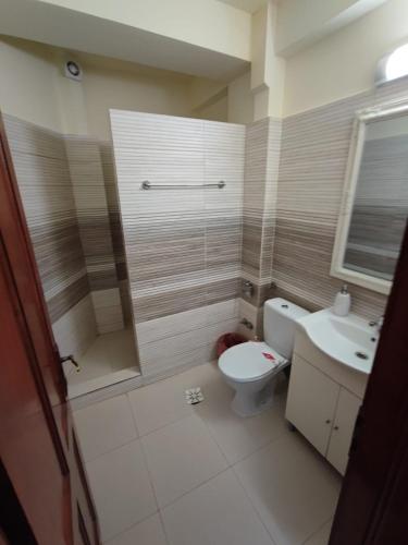 a bathroom with a shower and a toilet and a sink at Pensiunea Paradis Baile Herculane in Băile Herculane